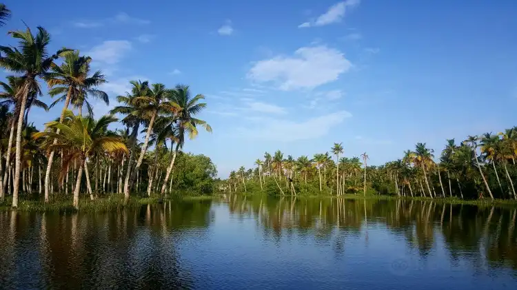 Hotels in Kulathoor
