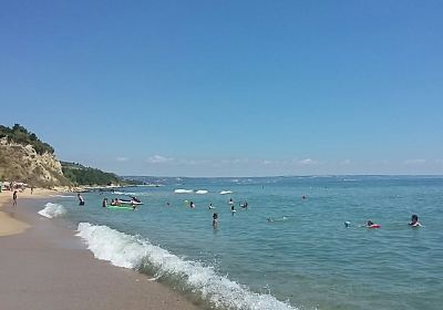Zlatni pjasătsi