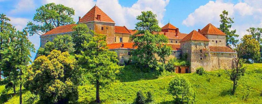 Svirzh Castle