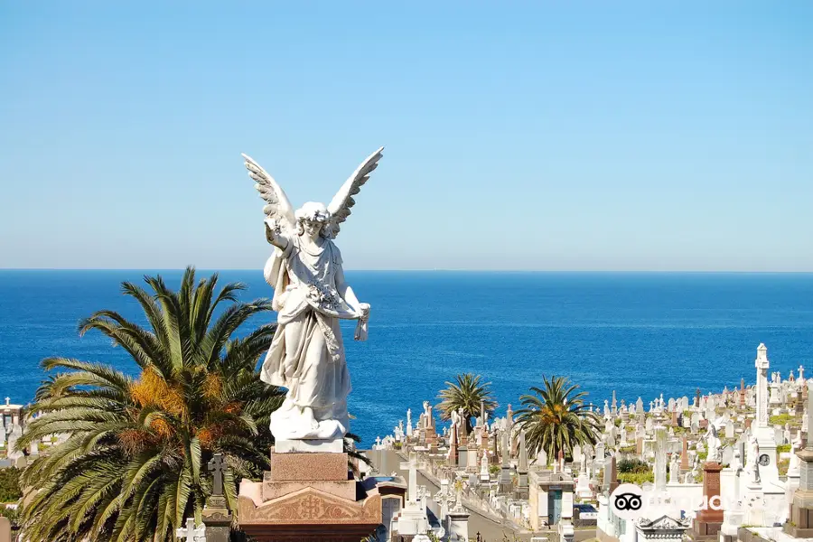 Waverley Cemetery