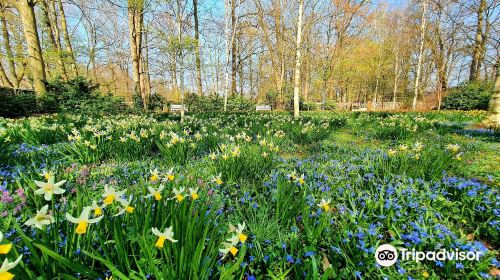 Botanischer Garten