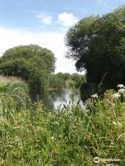 Winnall Moors Nature Reserve