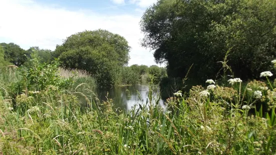 Winnall Moors Nature Reserve