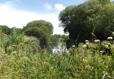 Winnall Moors Nature Reserve