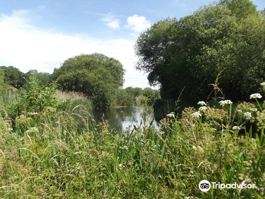5_Winnall Moors公園