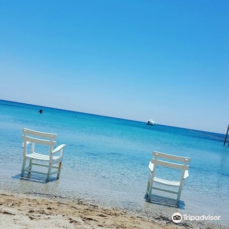 Fly-Inn Beach Club