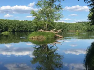 Wild River State Park