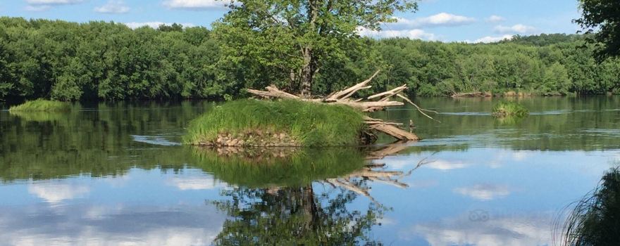 Wild River State Park