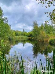 Foulshaw Moss Nature Reserve