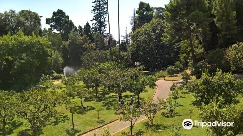 Orto Botanico di Napoli