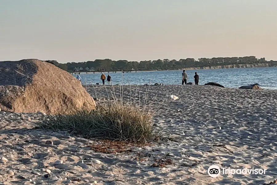 Ostsee-Strand Von Rerik