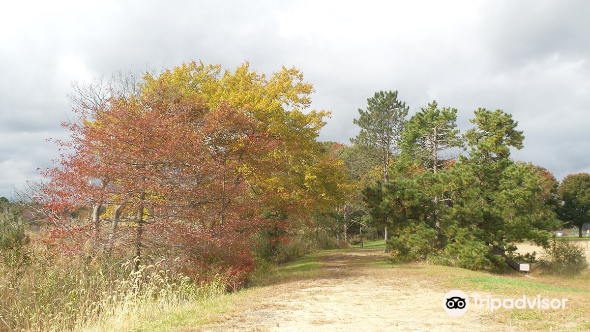 Cheesequake State Park