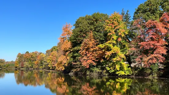 Franklin Lakes Nature Preserve