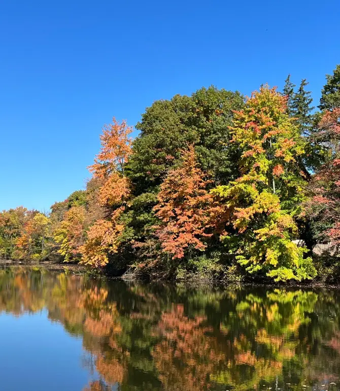North Haledon