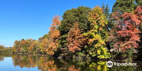 Franklin Lakes Nature Preserve
