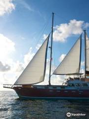 Diving Cruises Seychelles Ltd