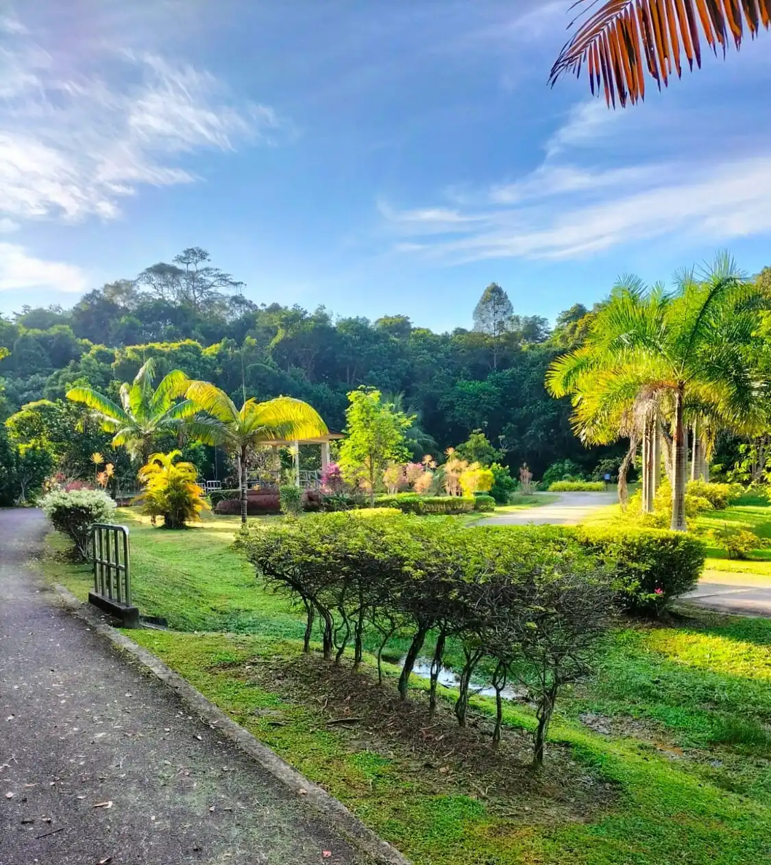 Hotels near Jalan Menteri Besar Recreational Park