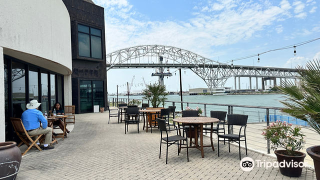 The Art Museum of South Texas