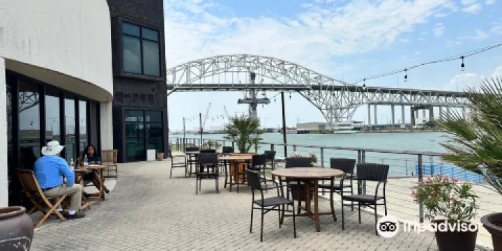 The Art Museum of South Texas