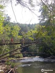 Swinging Bridge on the Toccoa River