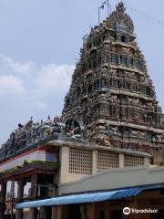 Arulmigu Devi Karumariamman Temple, Thiruverkadu