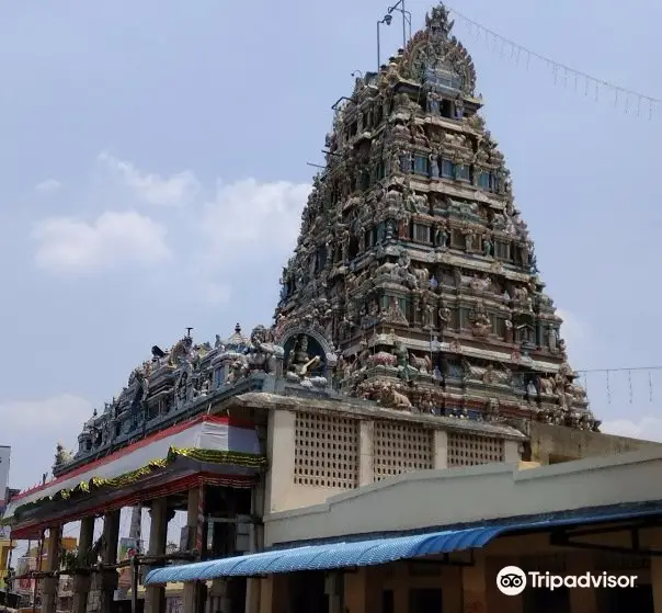 Thiruverkadu Devi Karumariamman Temple
