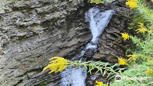 Deckertown Falls