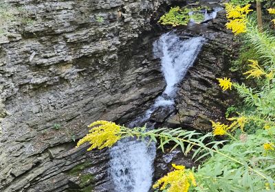 Deckertown Falls