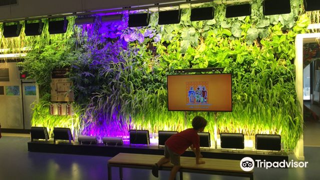 Bloomfield Science Museum