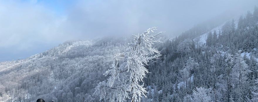 Szczyrk Mountain Resort Solisko - koleje kanapowe