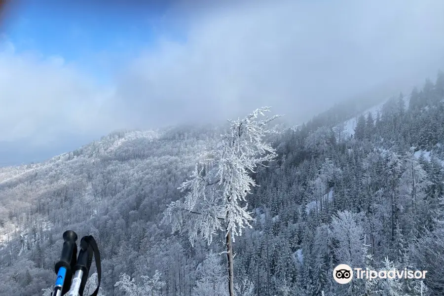 Szczyrk Mountain Resort Solisko - koleje kanapowe