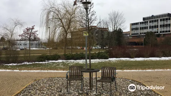 Havel's Place