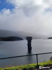 Thomson Dam