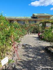 Jingu Rose Garden