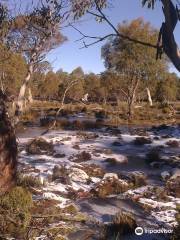 Great Western Tiers Conservation Area