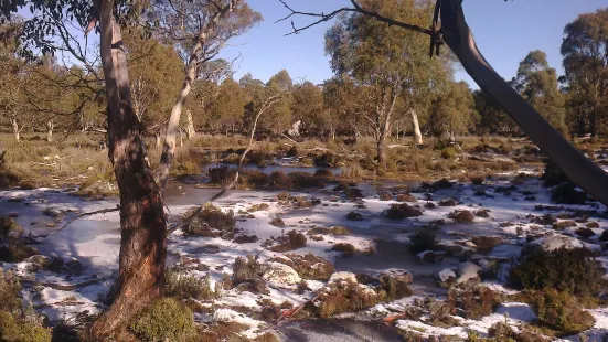 Great Western Tiers Conservation Area