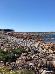 Joe Batt's Point Trail