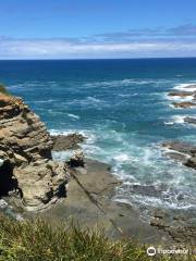 George Bass Coastal Walk