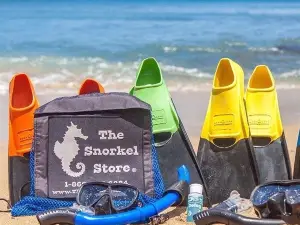 The Snorkel Store
