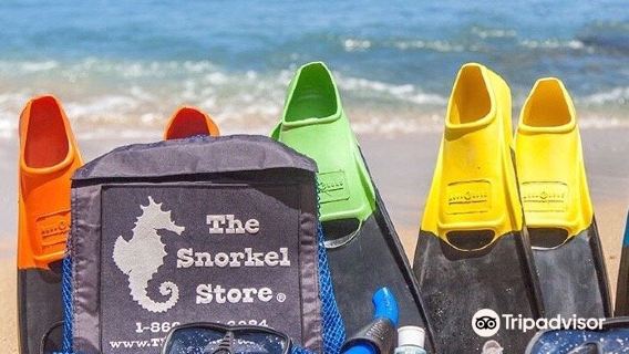 The Snorkel Store