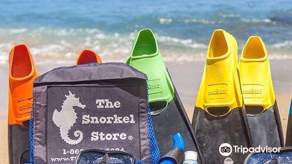 The Snorkel Store