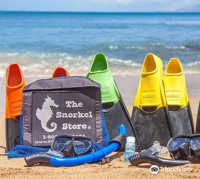 The Snorkel Store