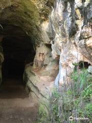 Limestone Caves