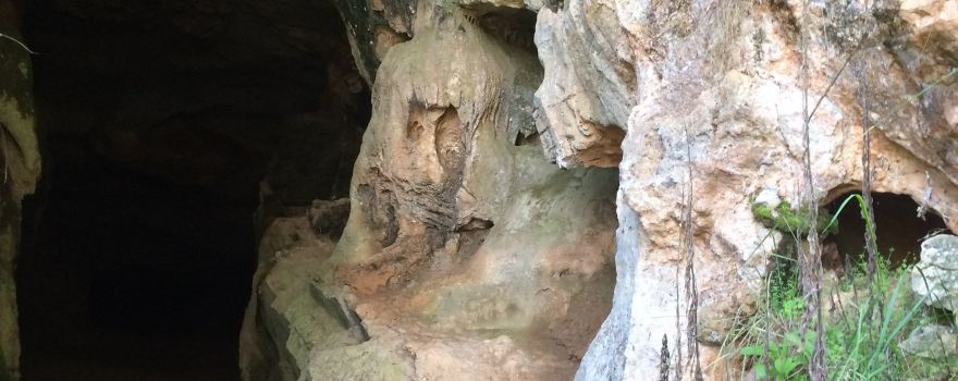 Limestone Caves