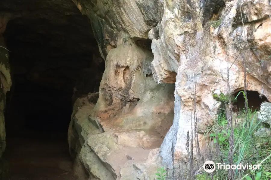 Limestone Caves