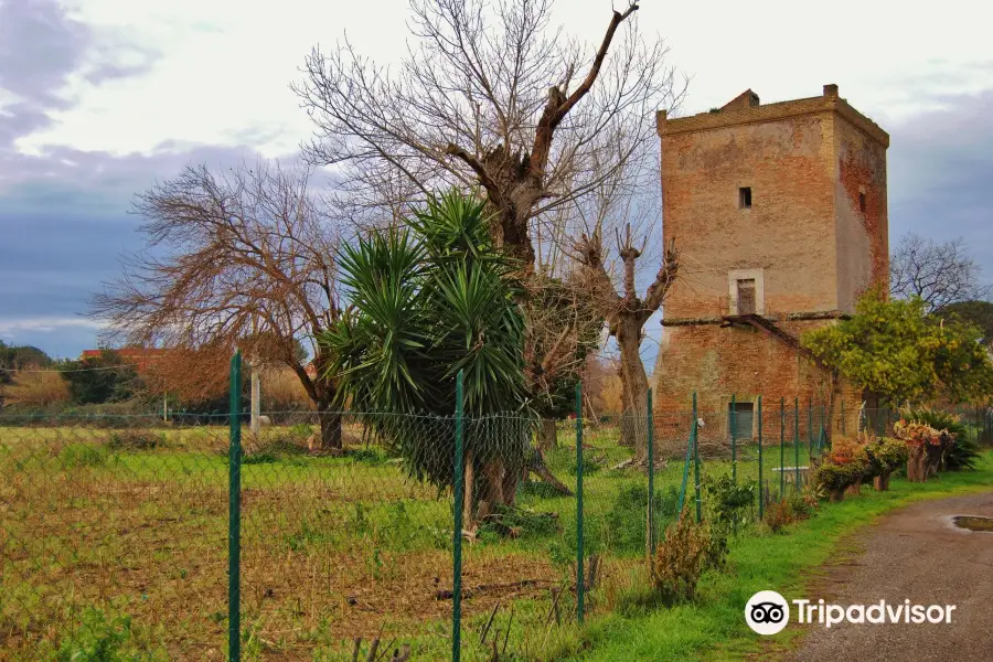 Torre Niccolina