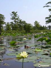 Mingo National Wildlife Refuge