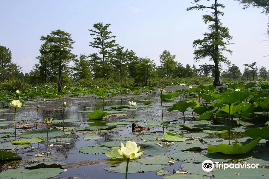 Mingo National Wildlife Refuge