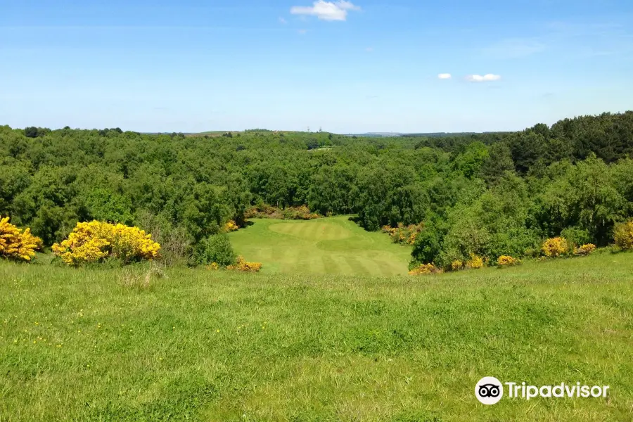 Mansfield Golf Club and Driving range