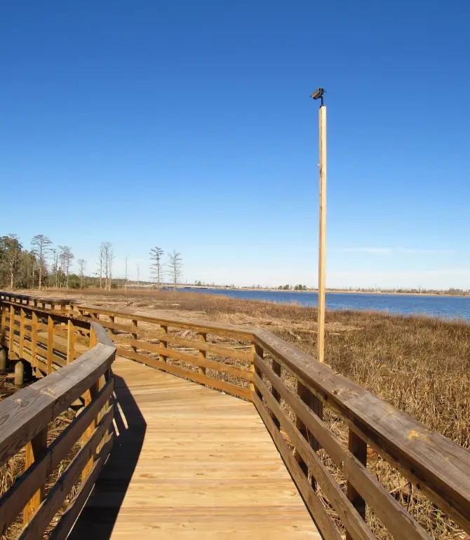 Town Creek